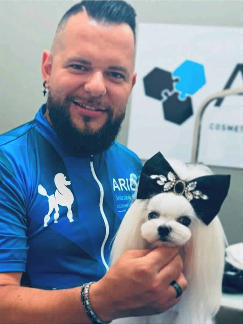 Le Bolle di Bubba Toeletta Cani Ostia di Matteo Angelici - Foto 1