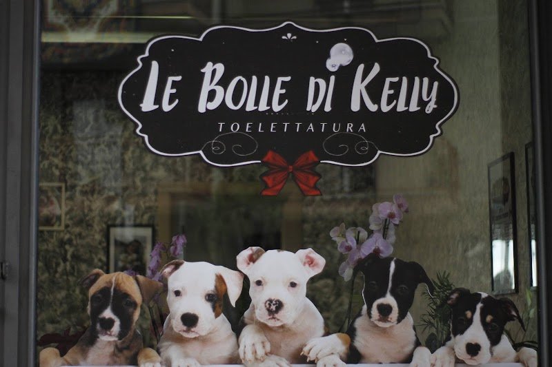 Le Bolle di Kelly - Foto 3
