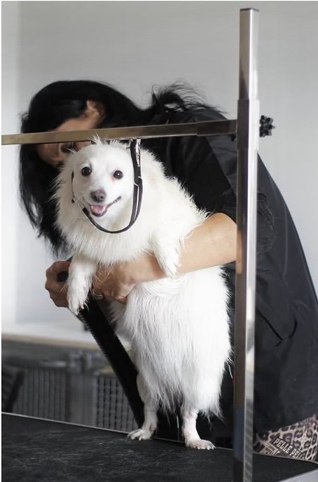 Le Bolle di Kelly - Foto 4