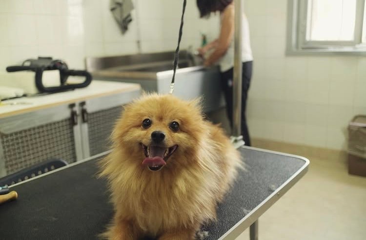 Le Bolle di Kelly - Foto 5