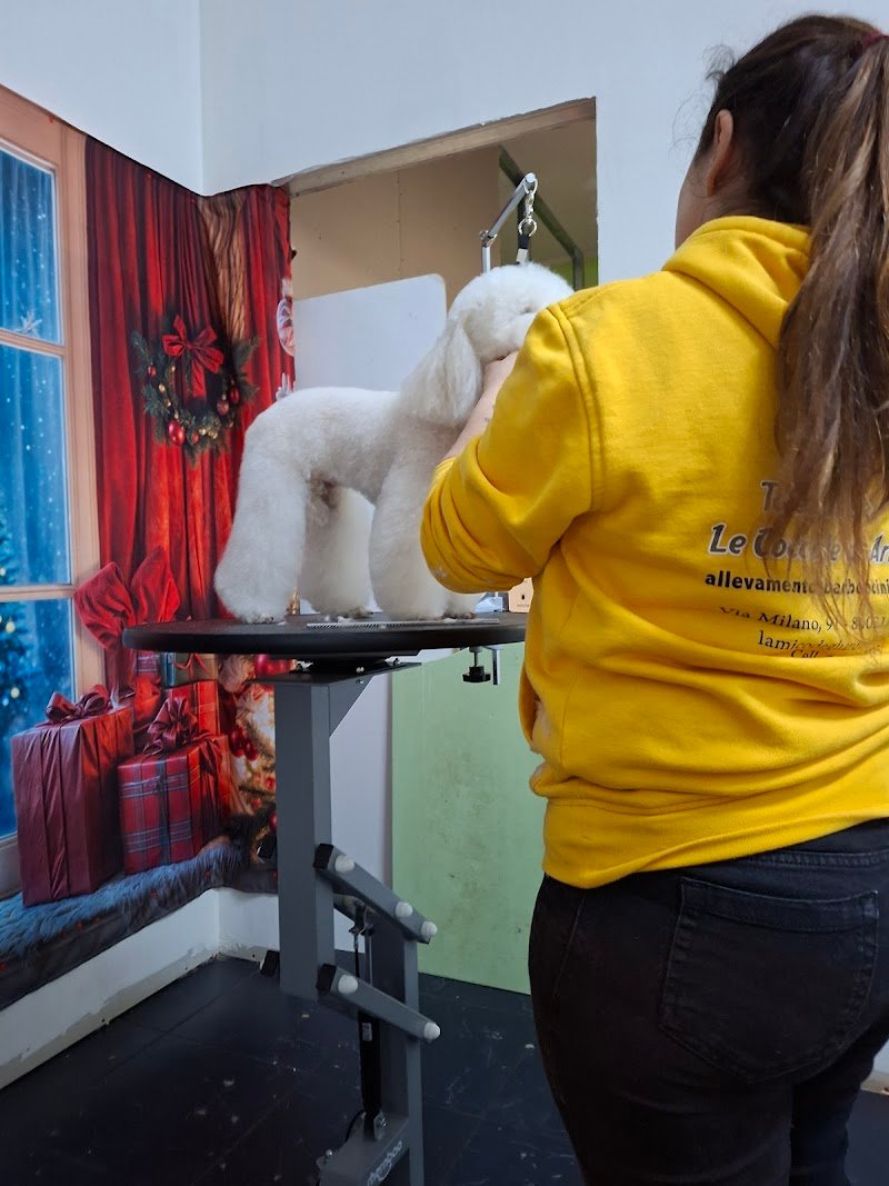 Le Coccole di Ariel - Foto 1