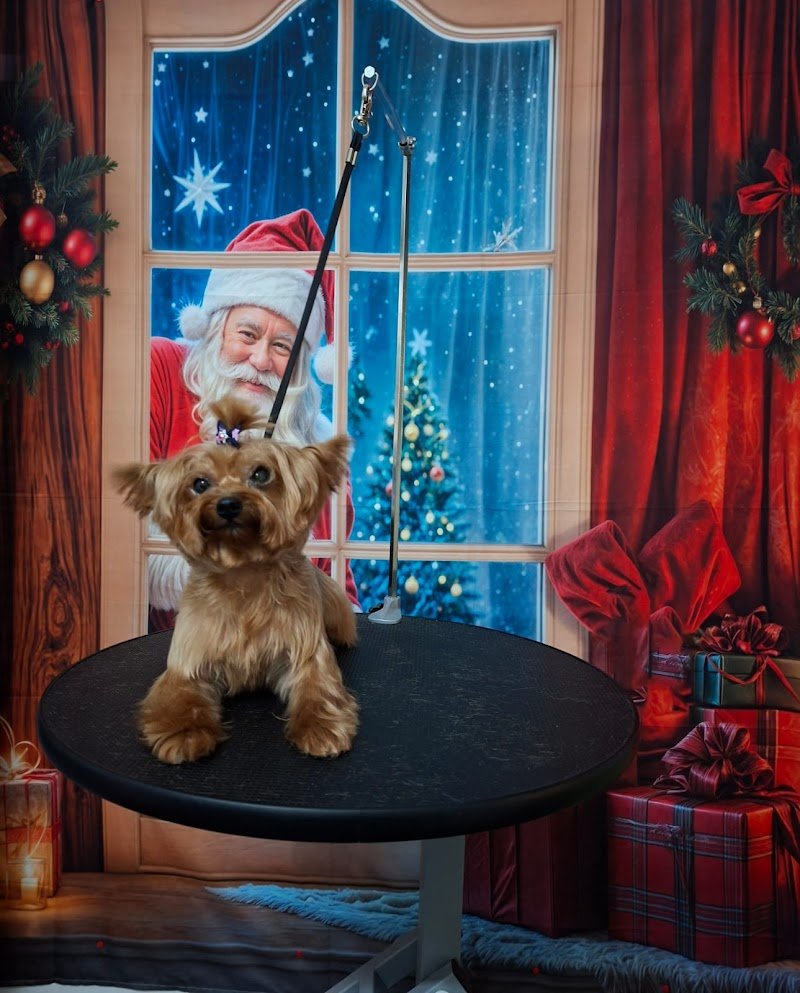 Le Coccole di Ariel - Foto 2