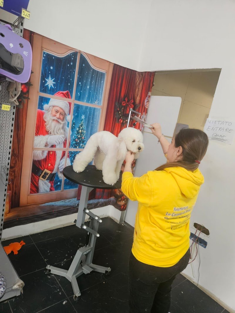 Le Coccole di Ariel - Foto 5