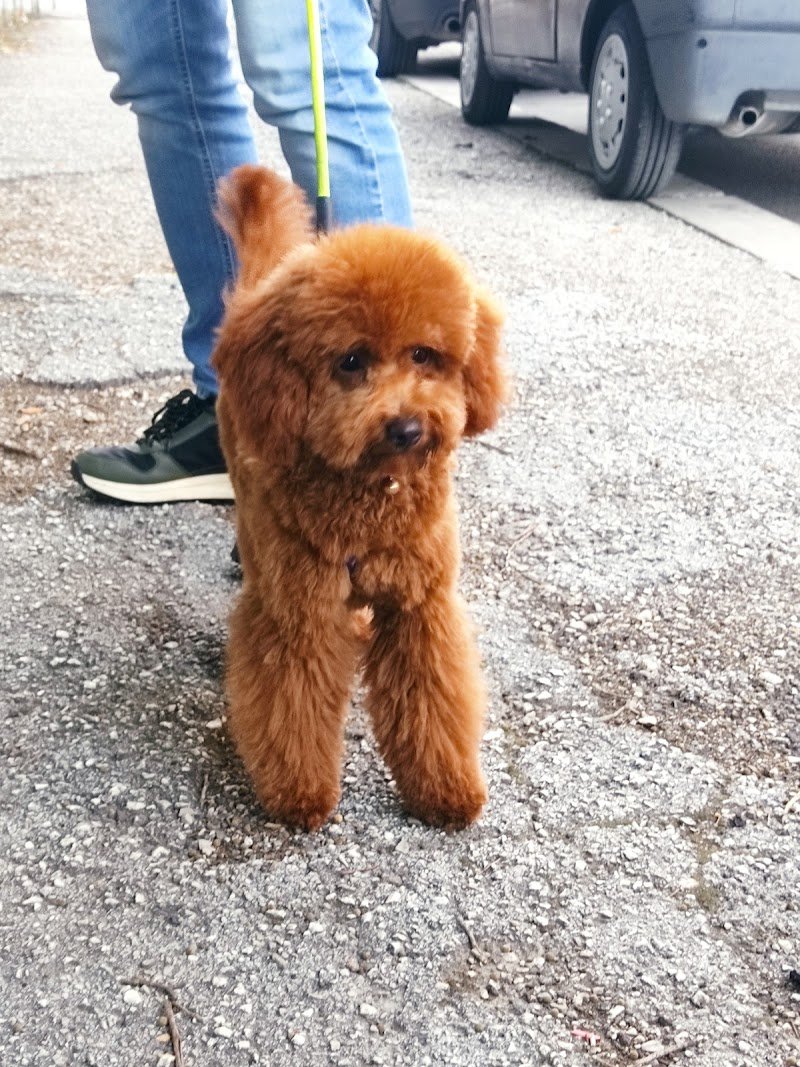 Le Code Monelle Beauty & SPA - Foto 1