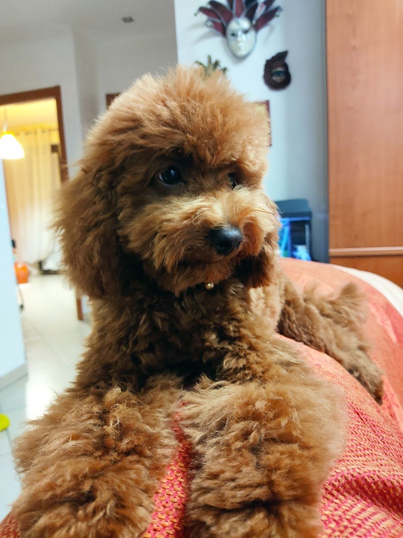 Le Code Monelle Beauty & SPA - Foto 2