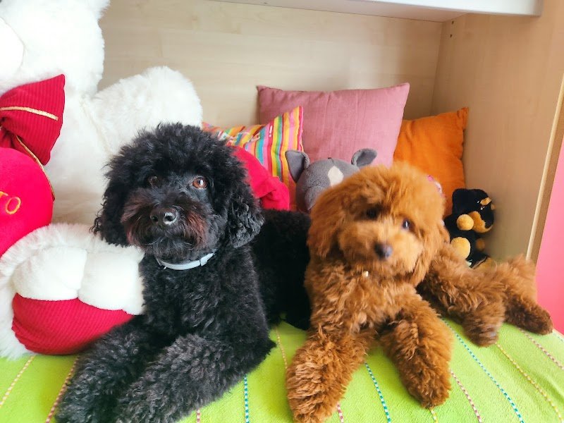 Le Code Monelle Beauty & SPA - Foto 3