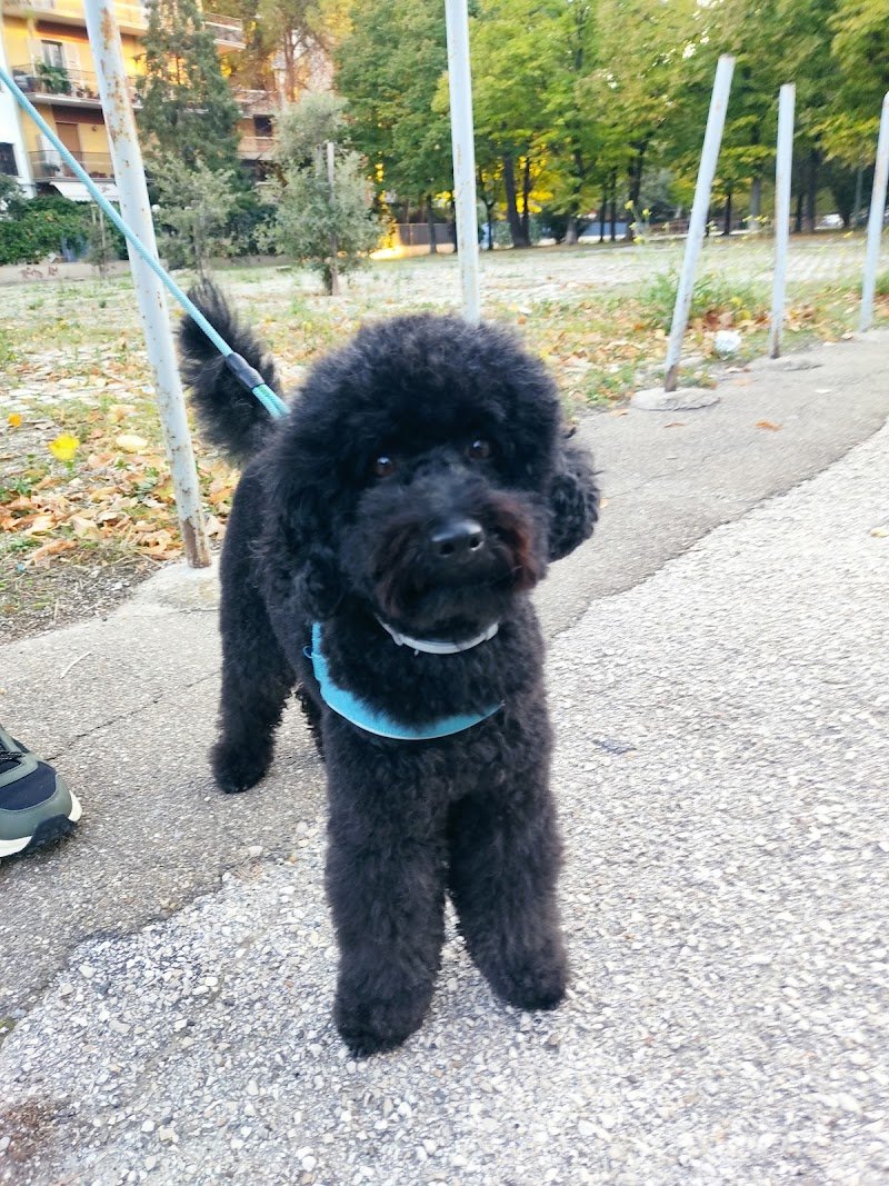 Le Code Monelle Beauty & SPA - Foto 4