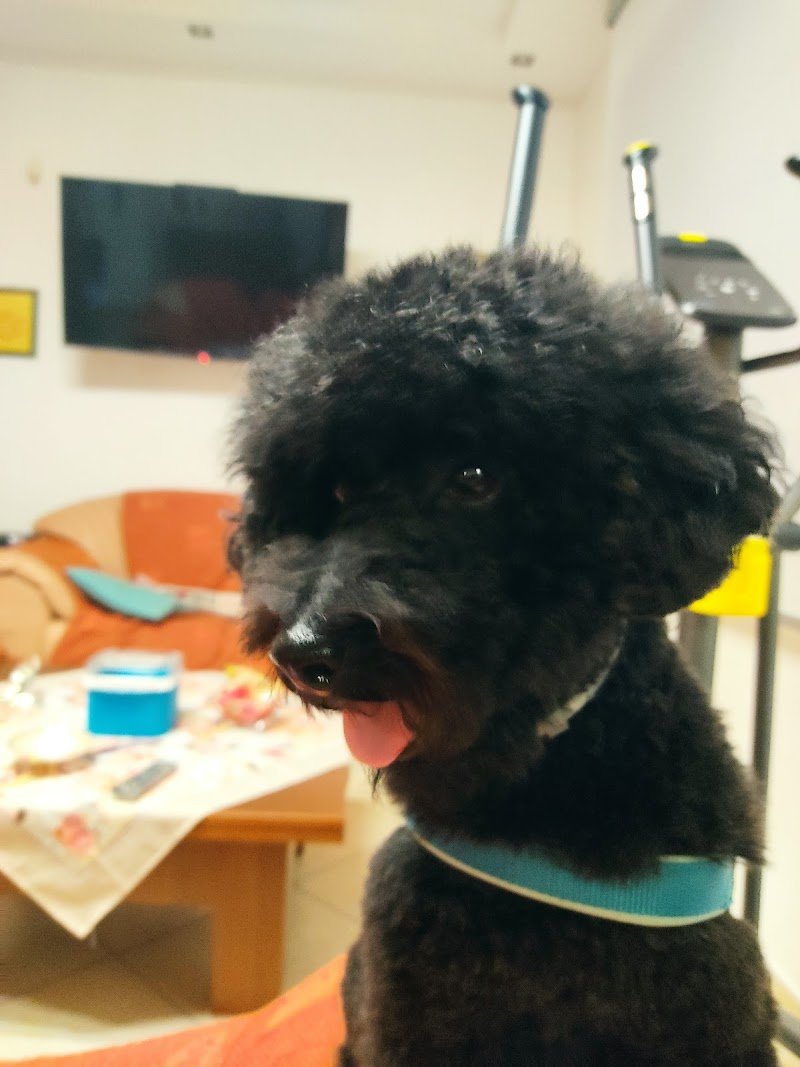 Le Code Monelle Beauty & SPA - Foto 5