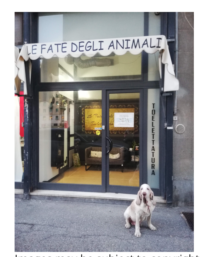 Le Fate Degli Animali - Foto 1