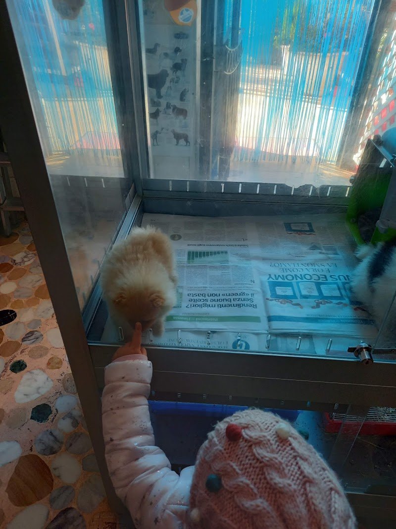 Le Favole Di Esopo Somma Vittorio - Foto 4