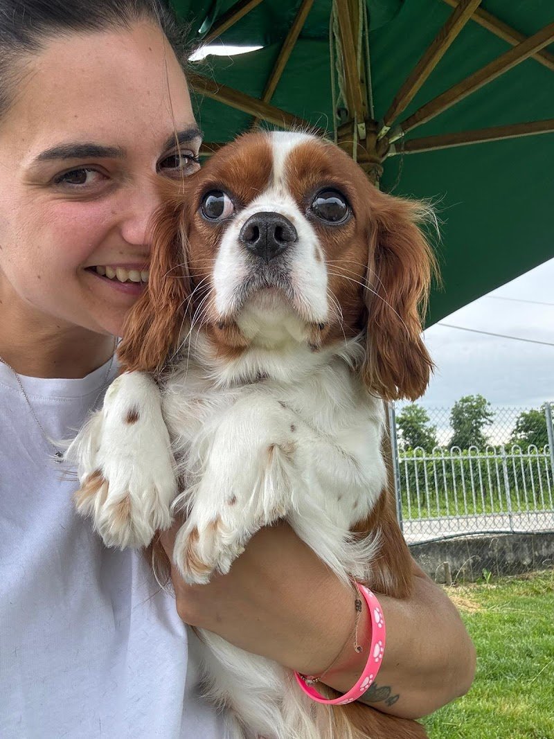 Le Gine Dog House - Foto 2