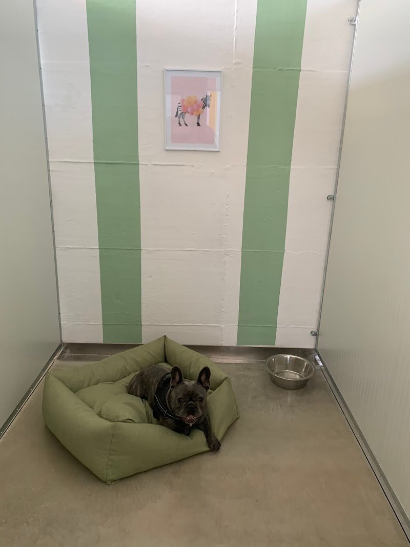 Le Gine Dog House - Foto 6