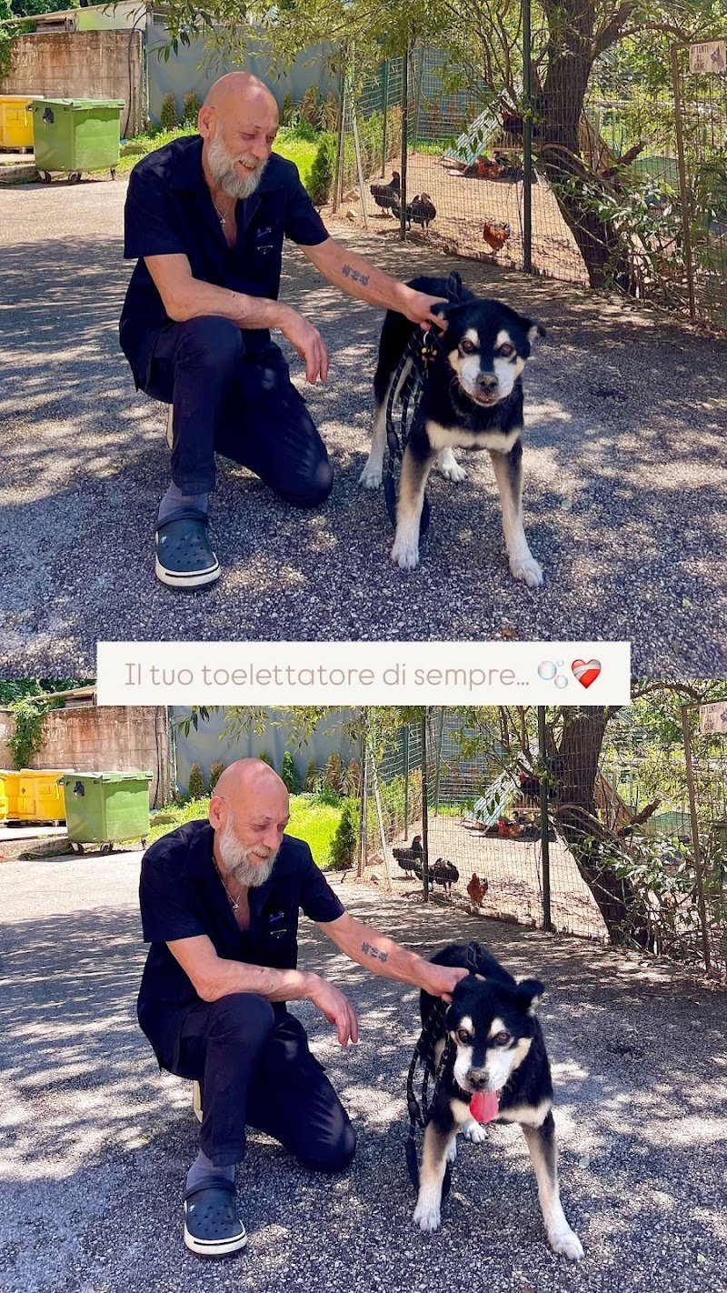 Le Impronte Dagoberto - Foto 1