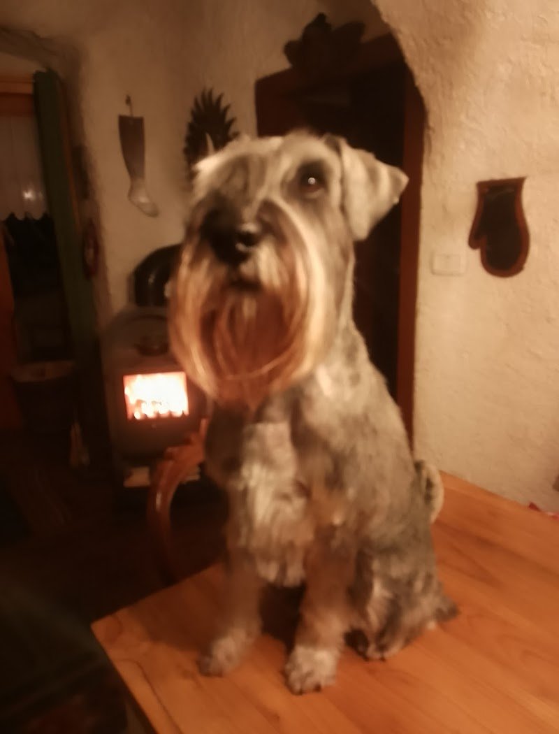 Le Impronte Dagoberto - Foto 2