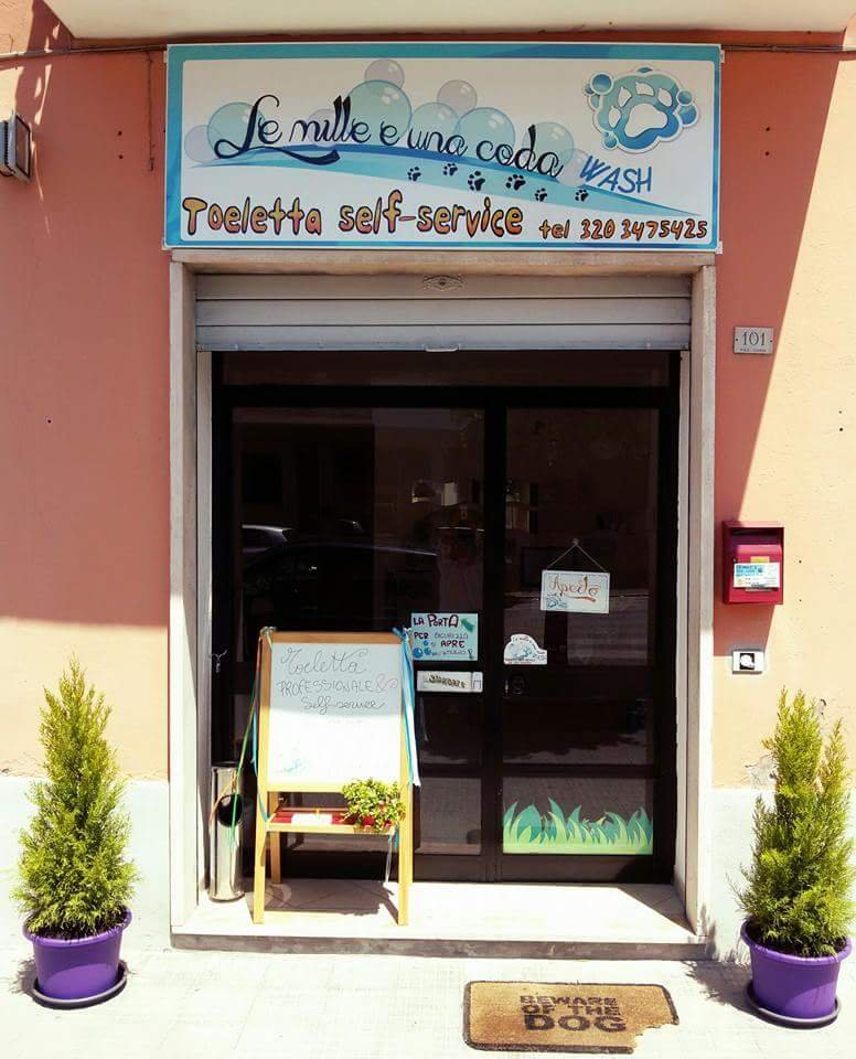 Le Mille E Una Coda Wash Di Federica Stirpe - Foto 1