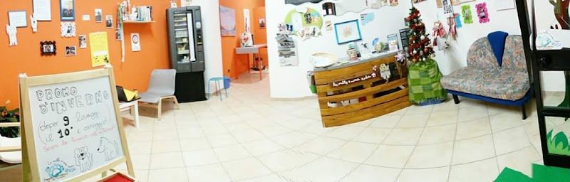 Le Mille E Una Coda Wash Di Federica Stirpe - Foto 4