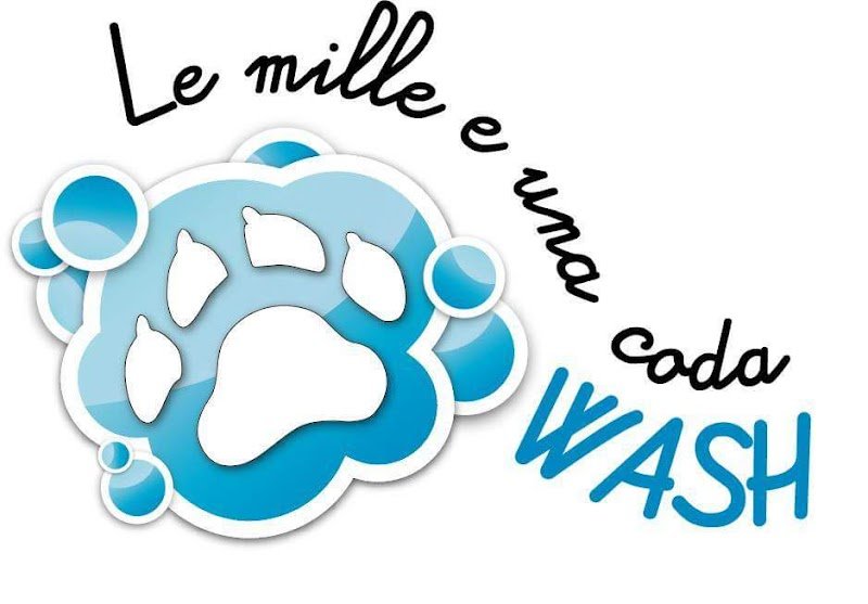 Le Mille E Una Coda Wash Di Federica Stirpe - Foto 5