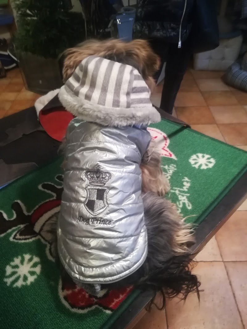 Le piccole canaglie - Foto 3