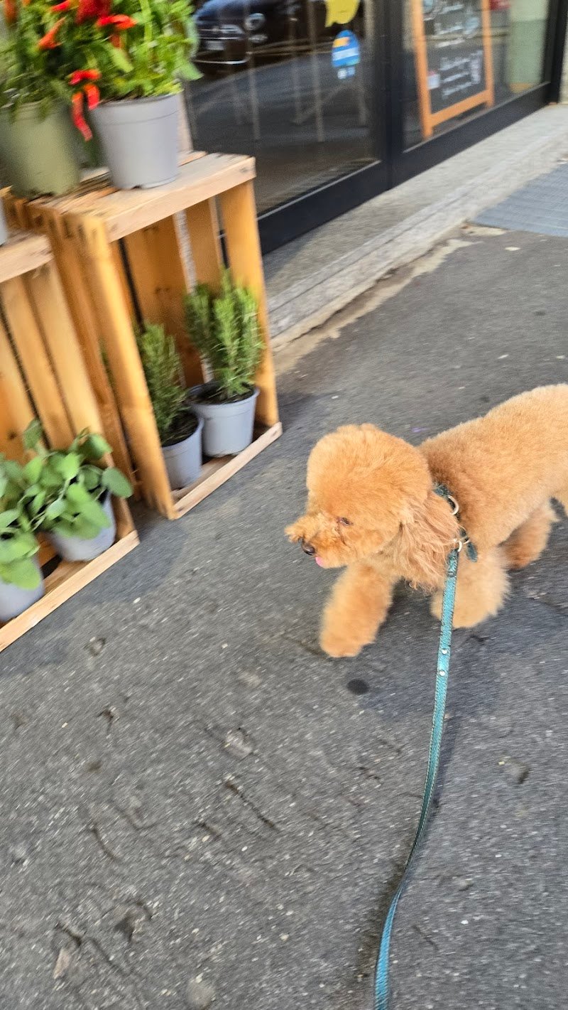 Le piccole canaglie - Foto 4