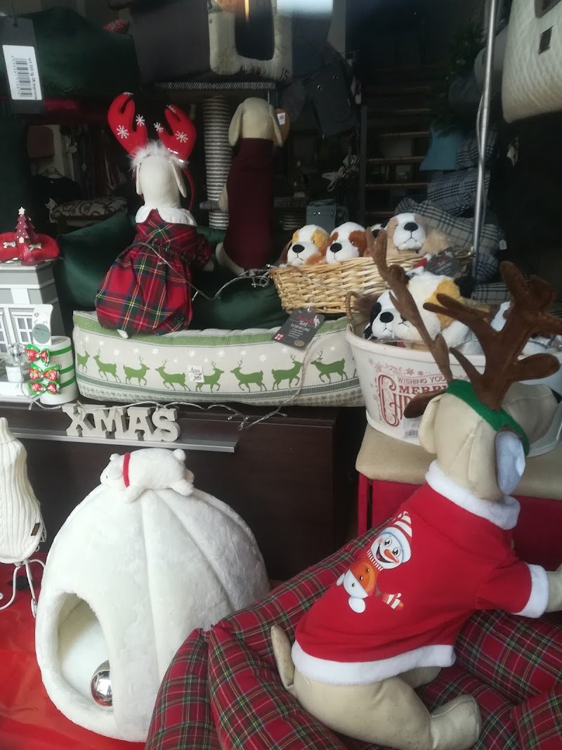 Le piccole canaglie - Foto 6