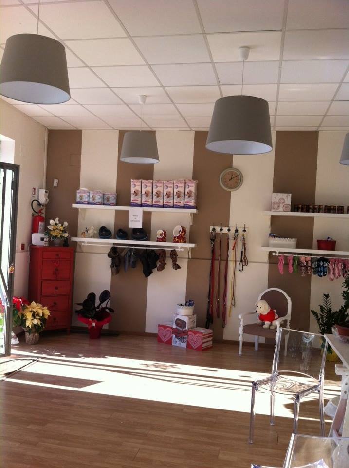 Le Toilettage - Foto 3