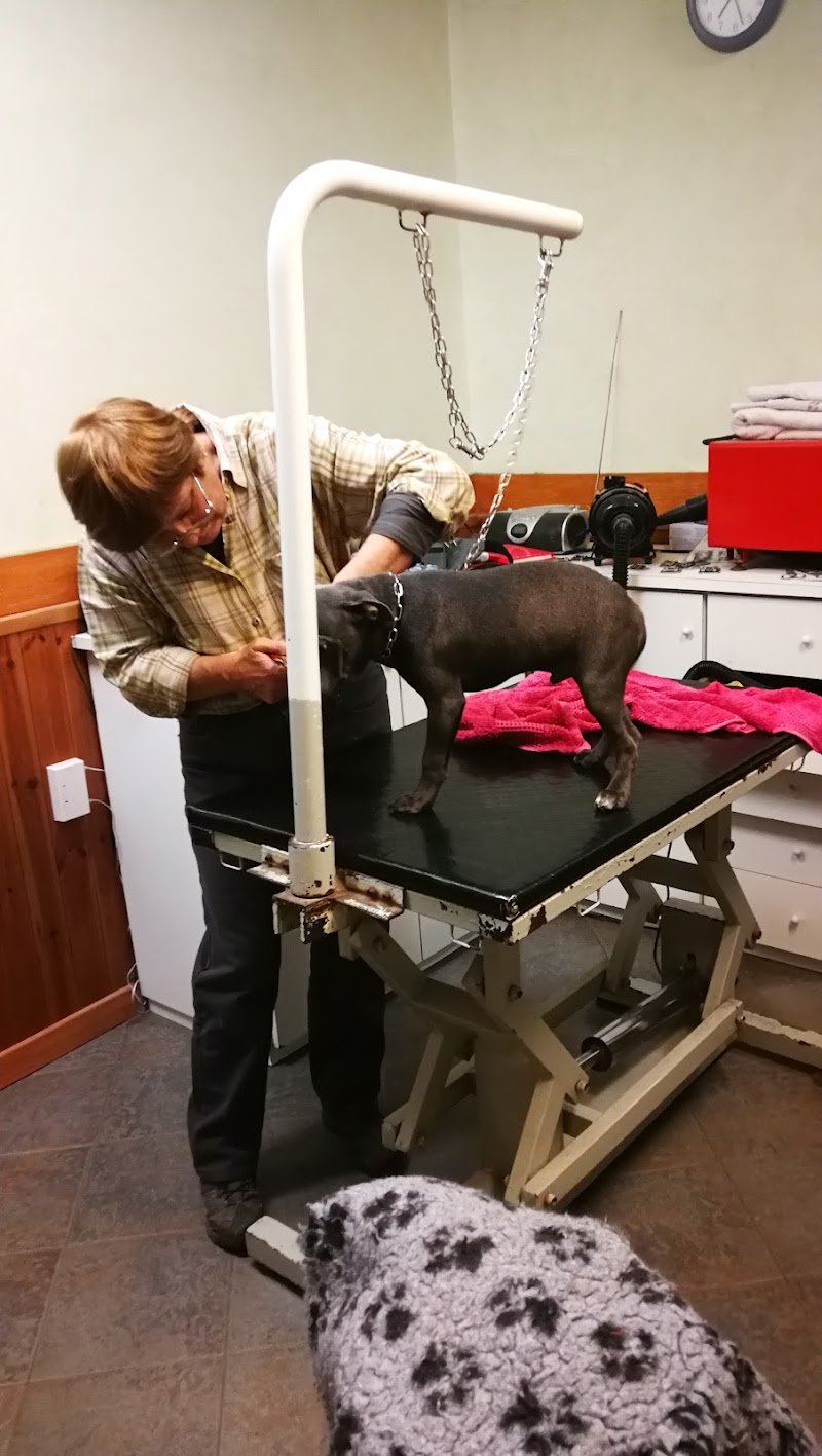 L'Eleganza Canina Di Le Divenach Christine - Foto 1