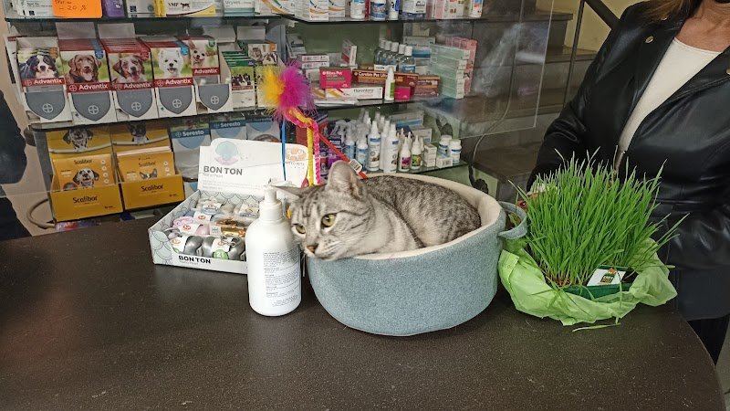 L'Emporio Pet - Foto 2