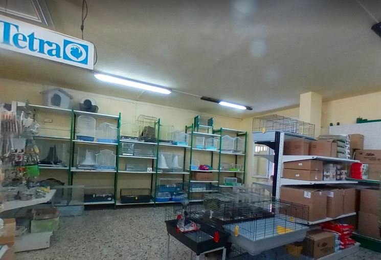 L'Emporio Pet - Foto 6