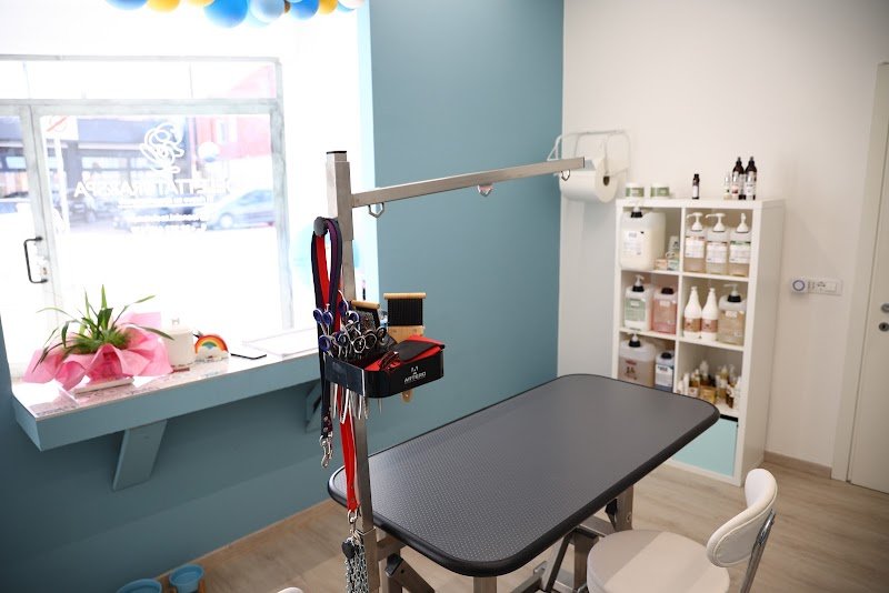 Leoncini Toelettatura & SPA Di Burlina Alice - Foto 3