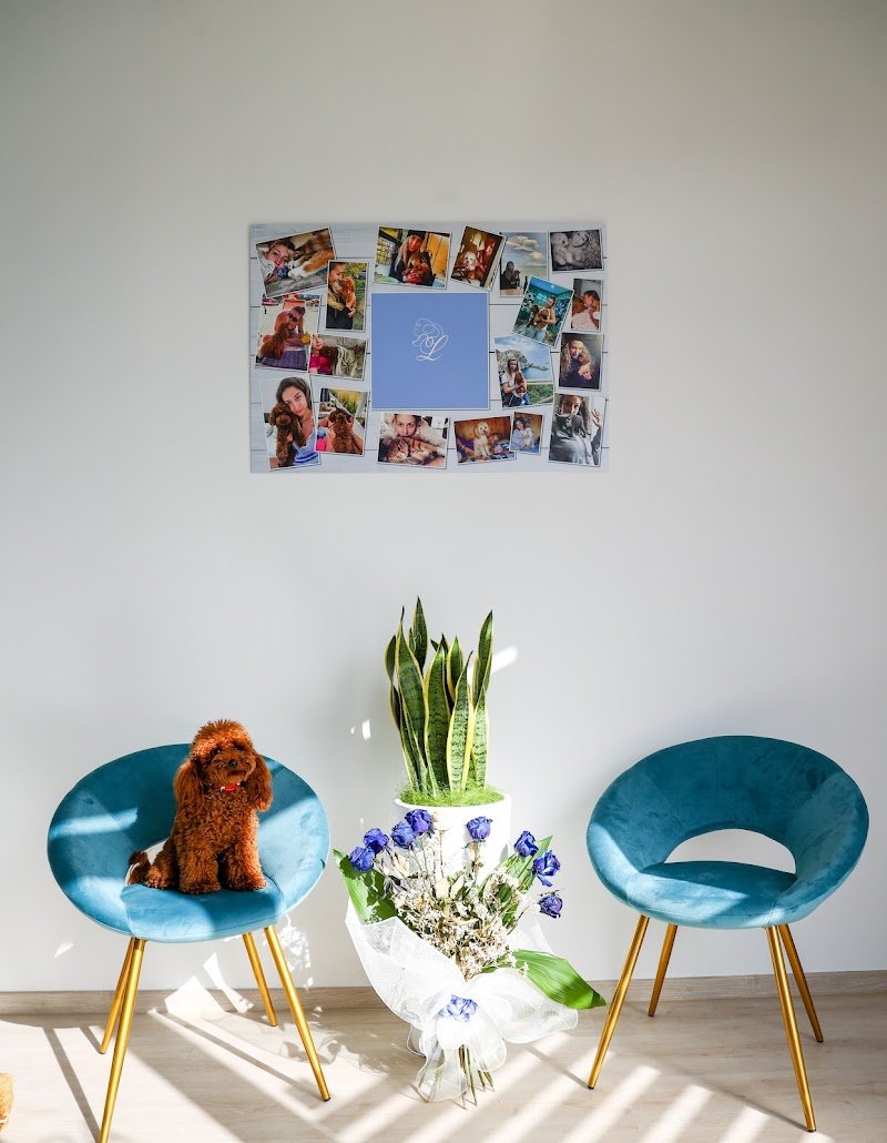 Leoncini Toelettatura & SPA Di Burlina Alice - Foto 4