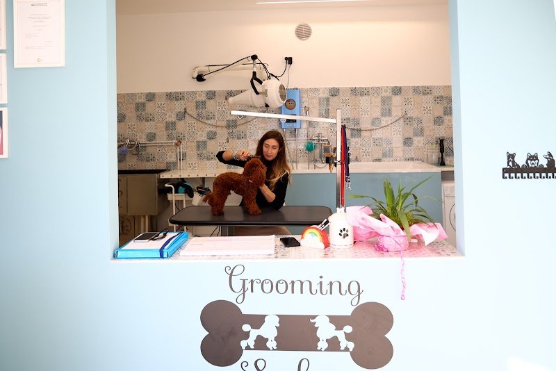 Leoncini Toelettatura & SPA Di Burlina Alice - Foto 5