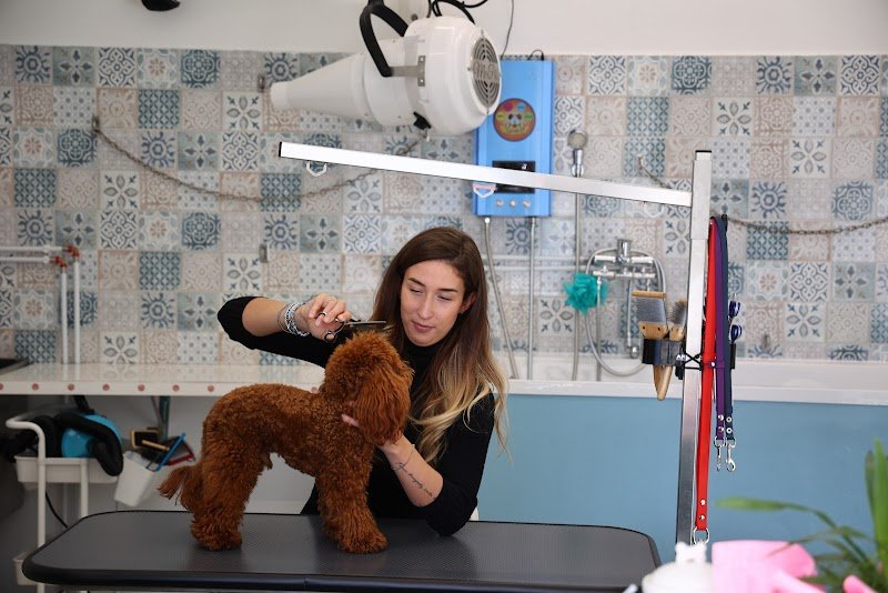 Leoncini Toelettatura & SPA Di Burlina Alice - Foto 6