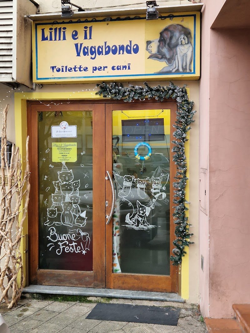 Lilli E Il Vagabondo - Foto 6