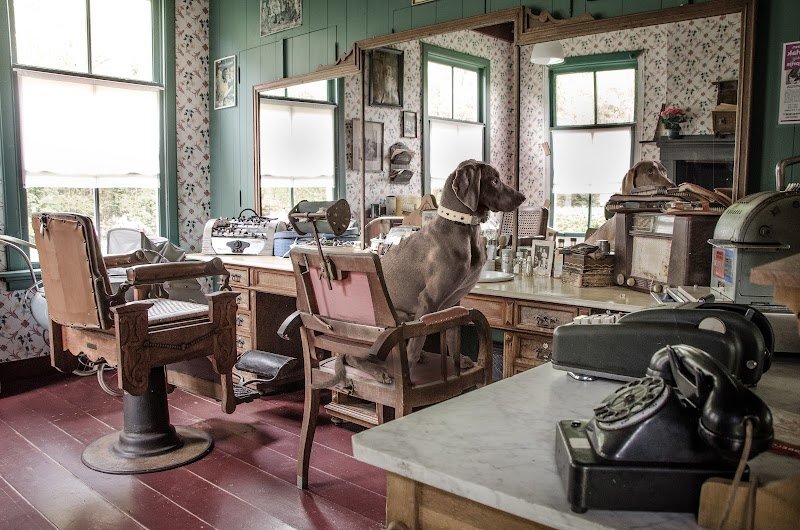 L'Impronta di Bea - Foto 1