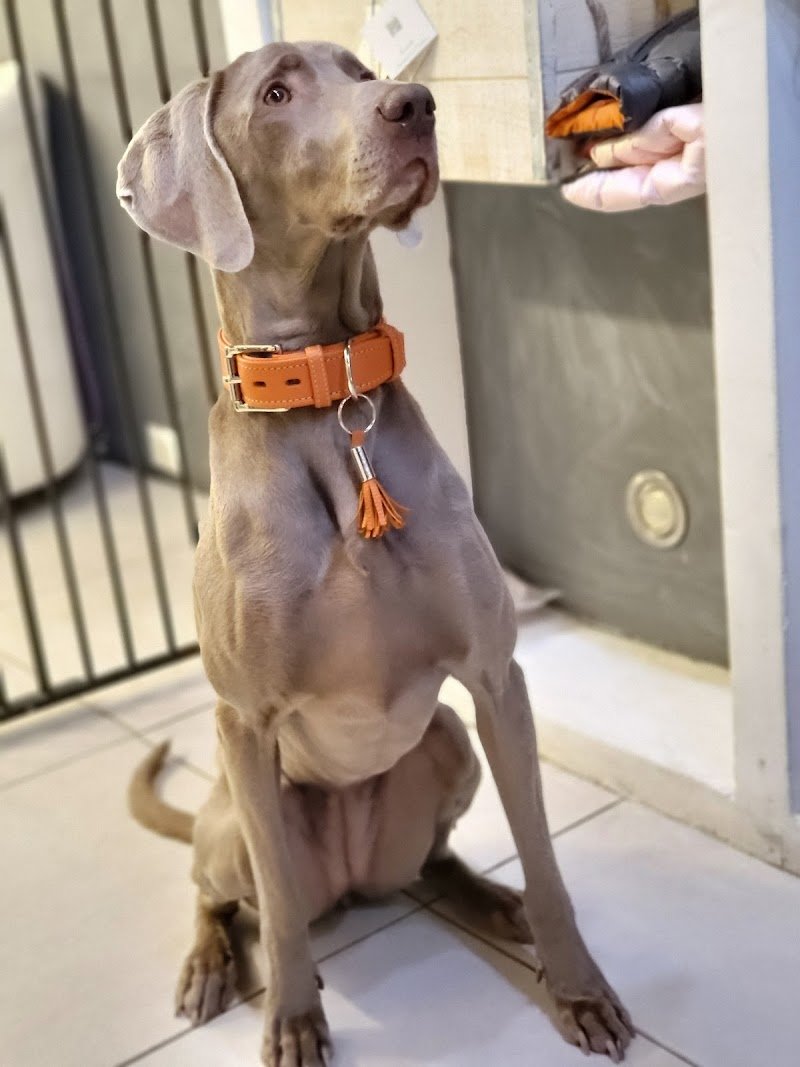 L'Impronta di Bea - Foto 2