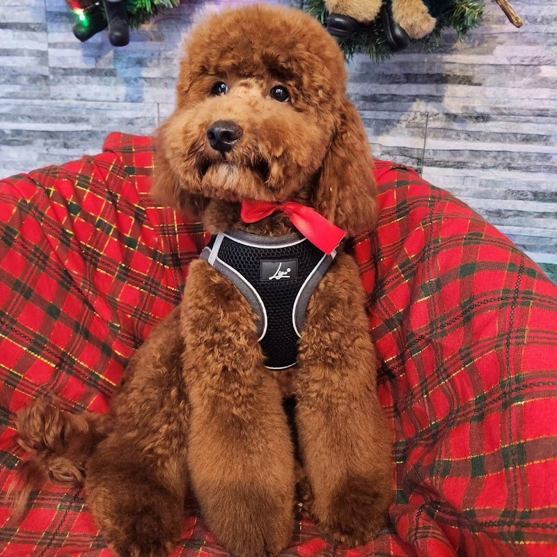 L'Impronta di Bea - Foto 3