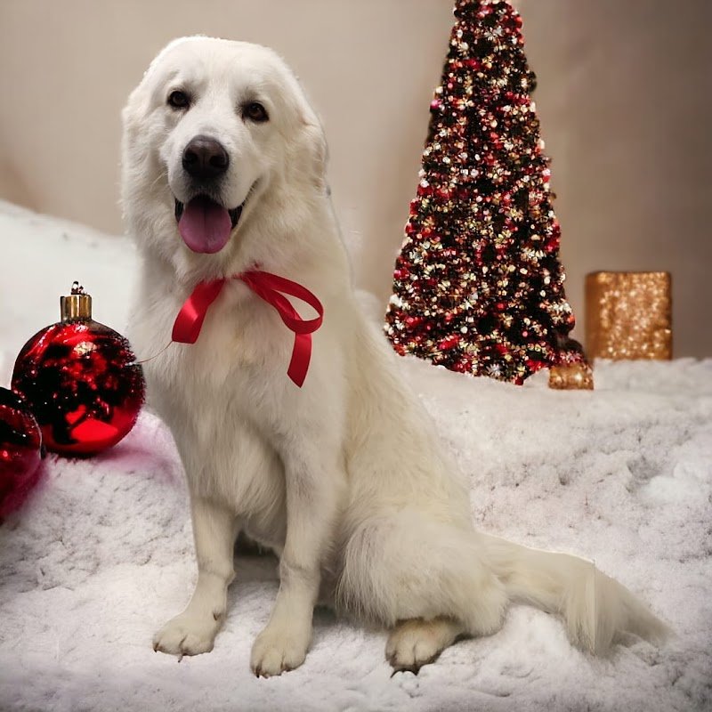 L'Impronta di Bea - Foto 4