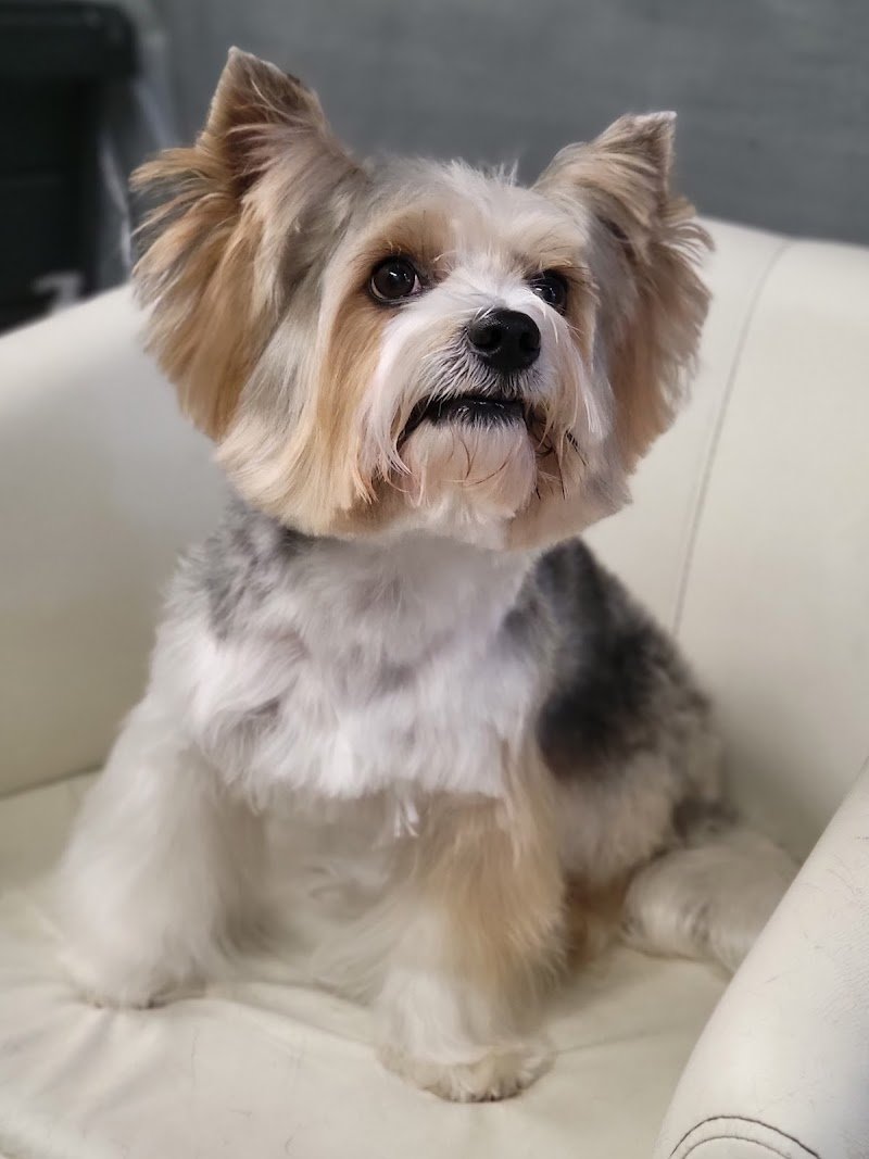 L'Impronta di Bea - Foto 5