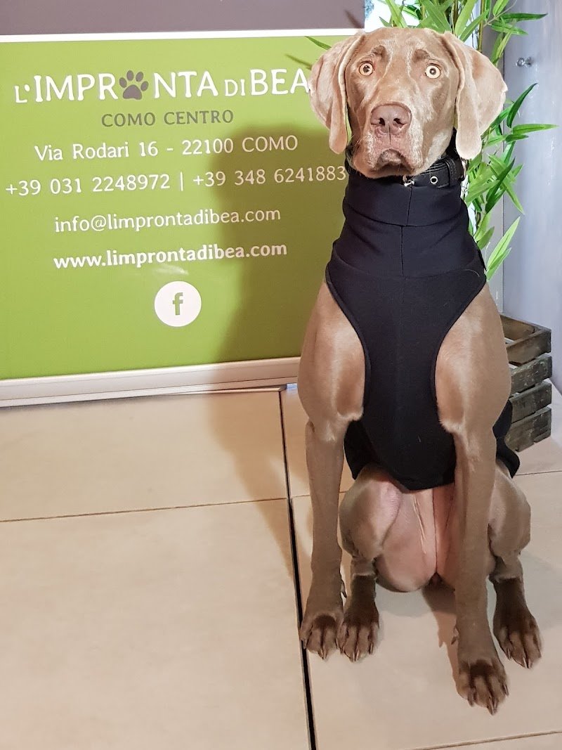 L'Impronta di Bea - Foto 6