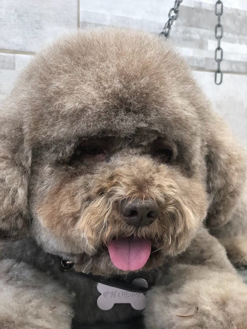 L'impronta di Ghidelli Stefania - Foto 2