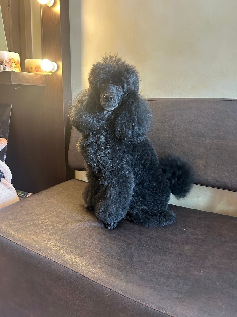 L'impronta di Ghidelli Stefania - Foto 4