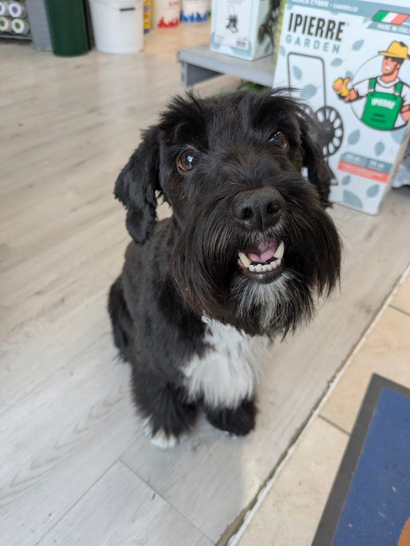 L'impronta di Ghidelli Stefania - Foto 5