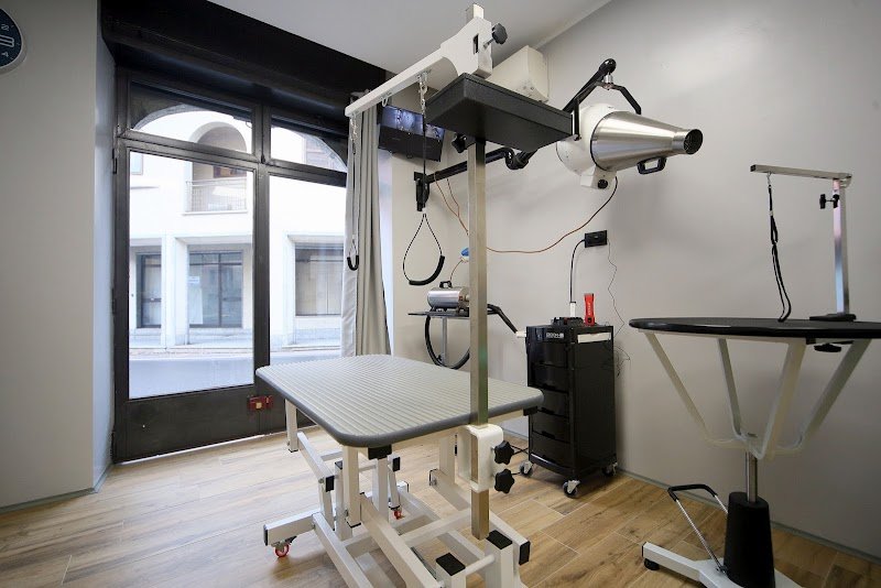 L'insolita toelettatura - Foto 3