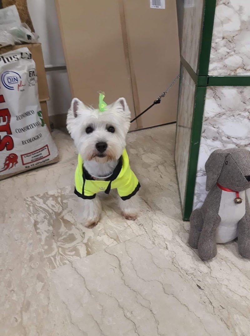 L'isola degli animali - Foto 5