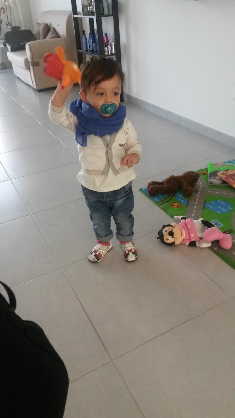 L'Isola dei Pelosi - Foto 5