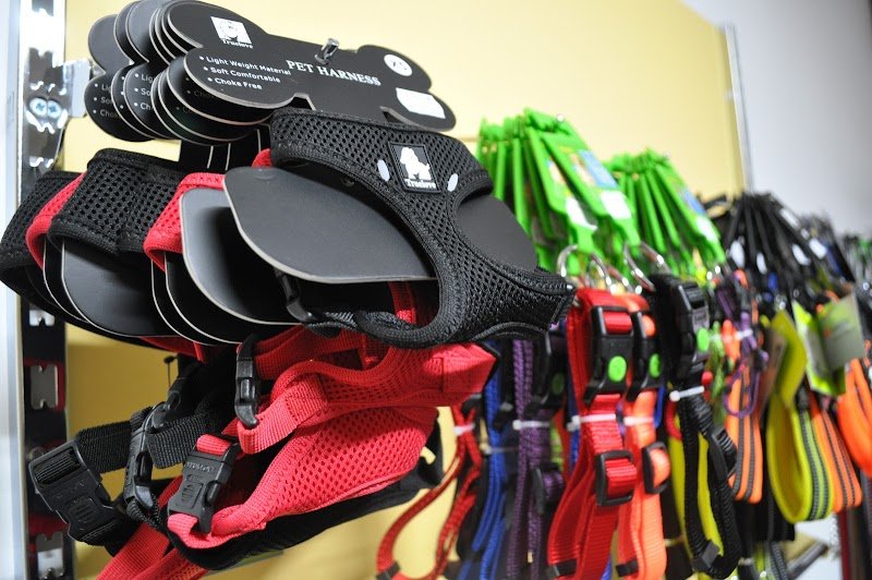 L'isola dei Pelosi - Foto 2