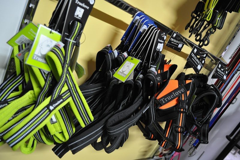 L'isola dei Pelosi - Foto 4