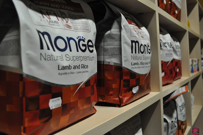 L'isola dei Pelosi - Foto 5