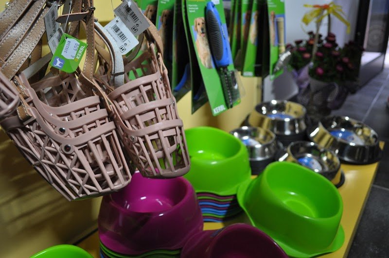 L'isola dei Pelosi - Foto 6