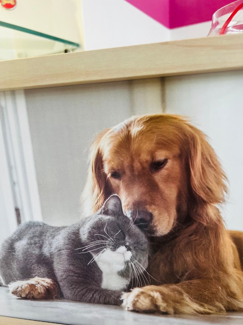 L’Isola dei Pelosi - Foto 2